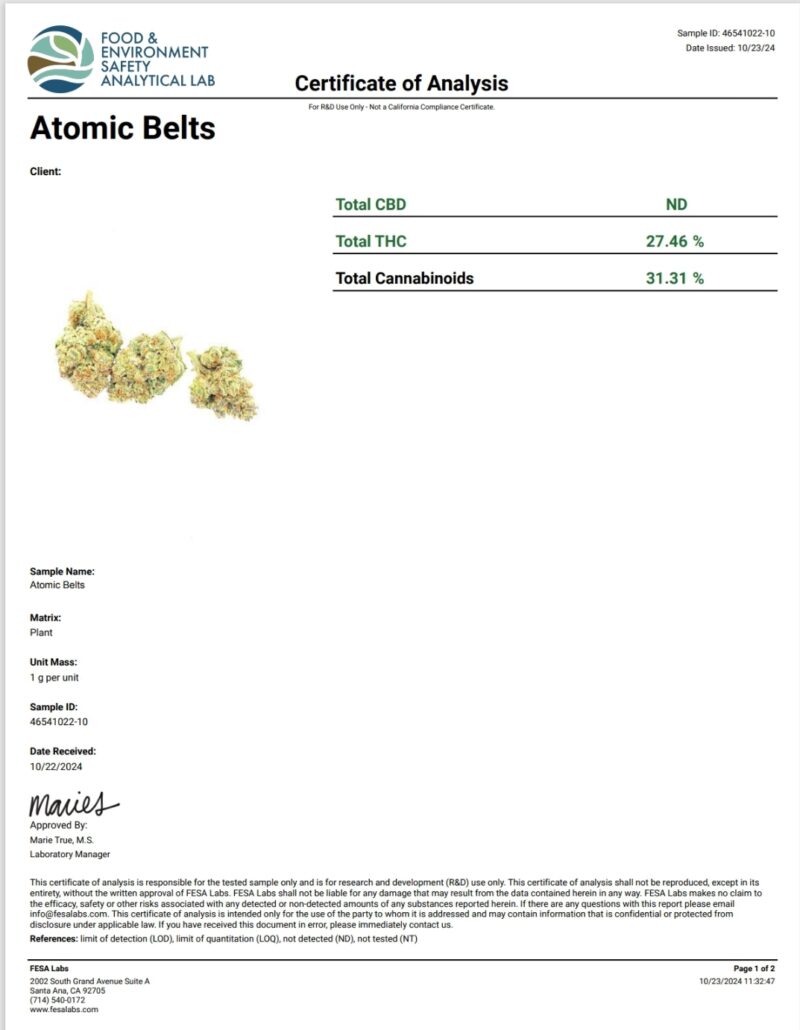 Atomic Belts THCA Flower (Indica) Premium - Image 2